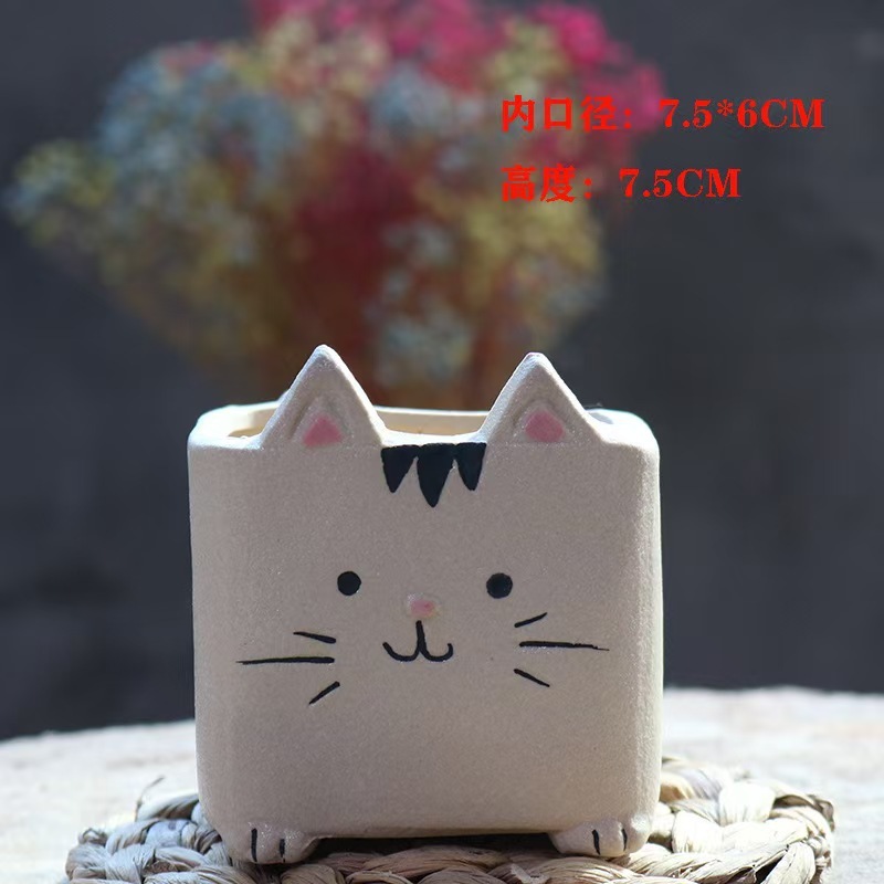 Gatito con agujero