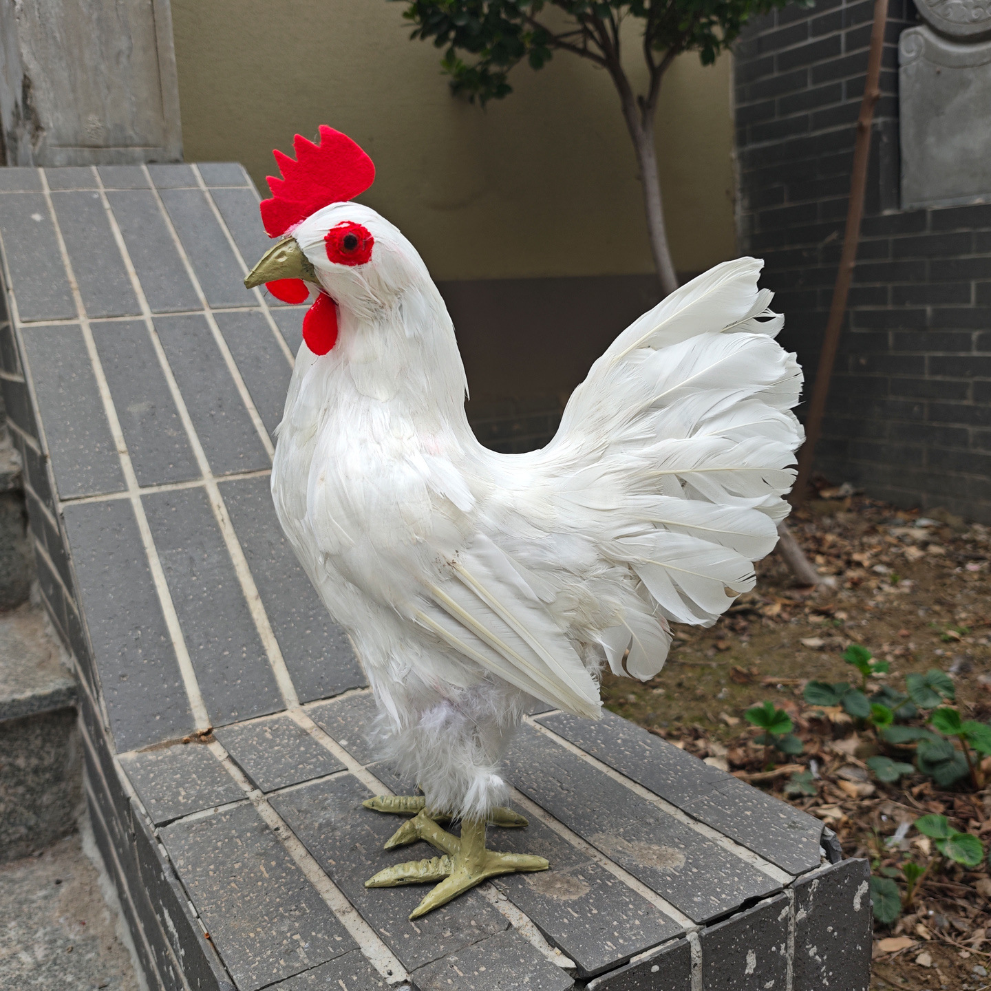 No 2 standing white chicken