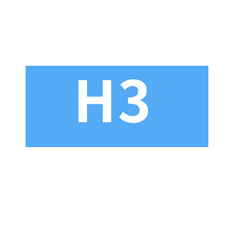 H3