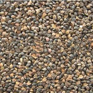 Máquina clasificadora de color de grano de alta calidad de China, máquina clasificadora de color de trigo sarraceno, máquina clasificadora de arroz para procesamiento agrícola - Product Image 6