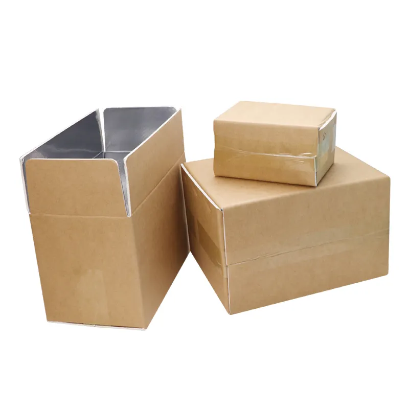 Anpassbare Größe Lebensmittel Kühlkette Transport karton Isolierte Box Isolierte Box Aluminium karton