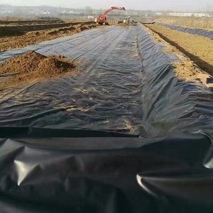 Geomembran 0.5mm balık fabrika fiyat Hdpe gölet Liner Epdm su geçirmez membran çağdaş S 50 metrekare fazla 15 yıl - Product Image 6