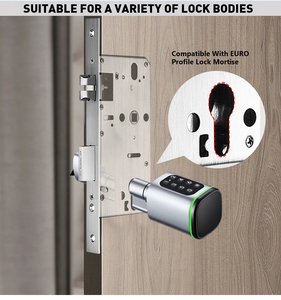 Smart Cylinder <strong>Lock</strong> with TTlock Tuya <strong>Blue</strong> Tooth APP Mechanical <strong>Key</strong> WiFi BLE Digital Electronic Password Card <strong>Key</strong> Smart <strong>Lock</strong> - Product Image 3