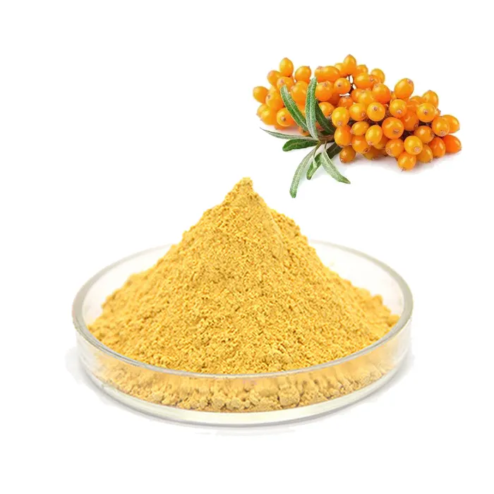 خلاصة نبق البحر العضوي بالجملة بالجملة Seabuckthorn