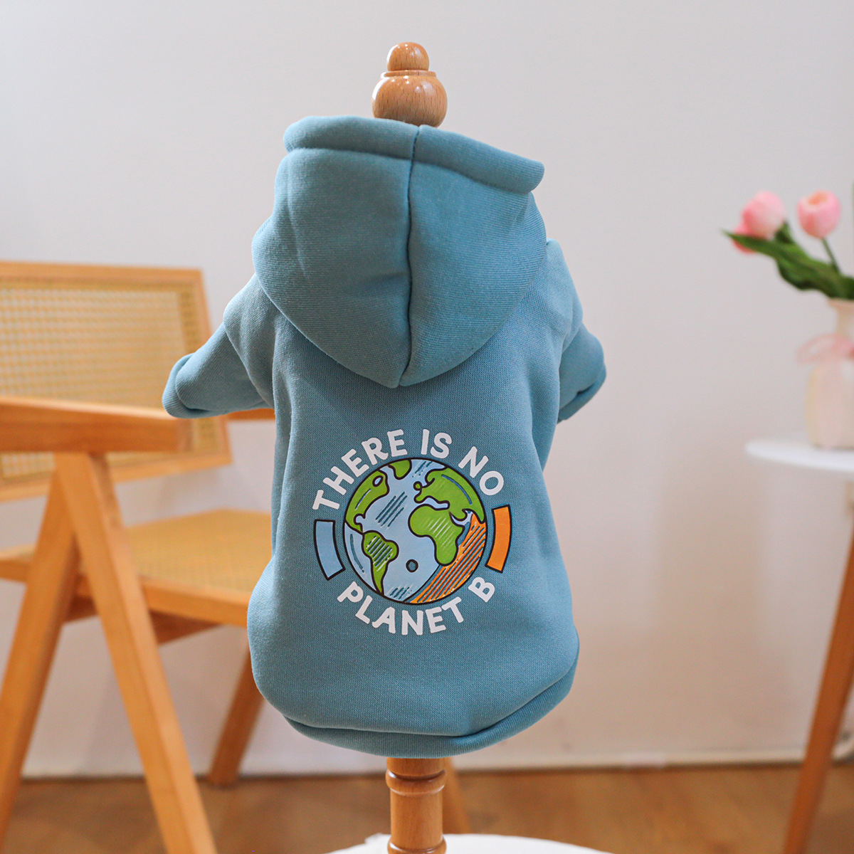 Earth white character lake blue sweatshirt