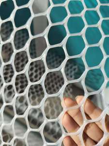 自動六角形リジッドネットメッシュ製造機PE PP HDPEプラスチックスクリューポンプギア製造工場使用 - Product Image 6