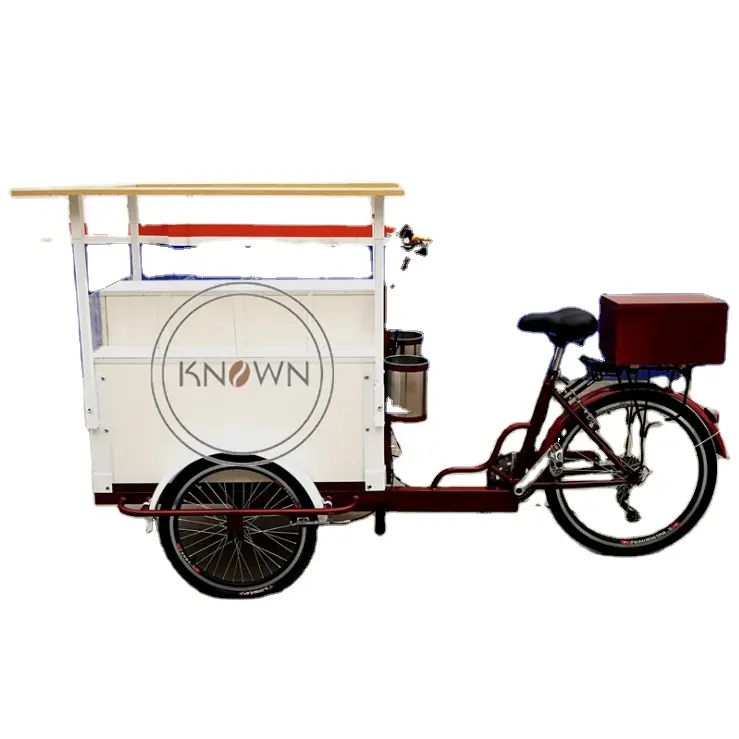 Oem Fruit Cargo Driewieler Voor Koop Salade Elektrische Volwassen 3 Wiel Fiets Koffie Winkelwagen Met Ce Iso Certificering