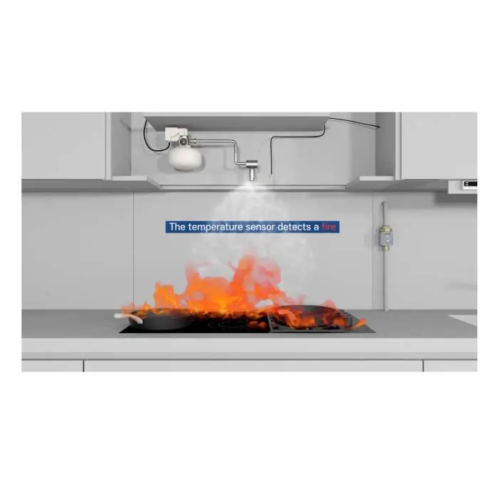 Promoción de suplementos de etiqueta privada Sistema de extintor de incendios Tipo abierto o cerrado Extintor de incendios de agua automático