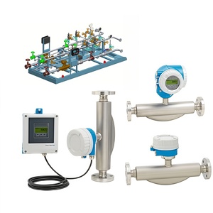Yüksek hassasiyetli E + H F 300 F 500 Coriolis kütle debimetre fiyat Endress + Hauser Coriolis sıvı akış metre proses kontrolü için - Product Image 1