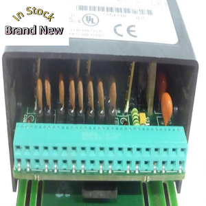 Spot Supply NEU IC670ALG320J Analoga us gangs modul-Neu in Box Ein Jahr Garantie - Product Image 4