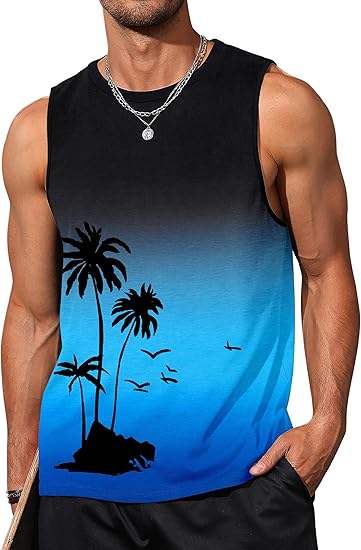 ดำ/น้ำเงิน