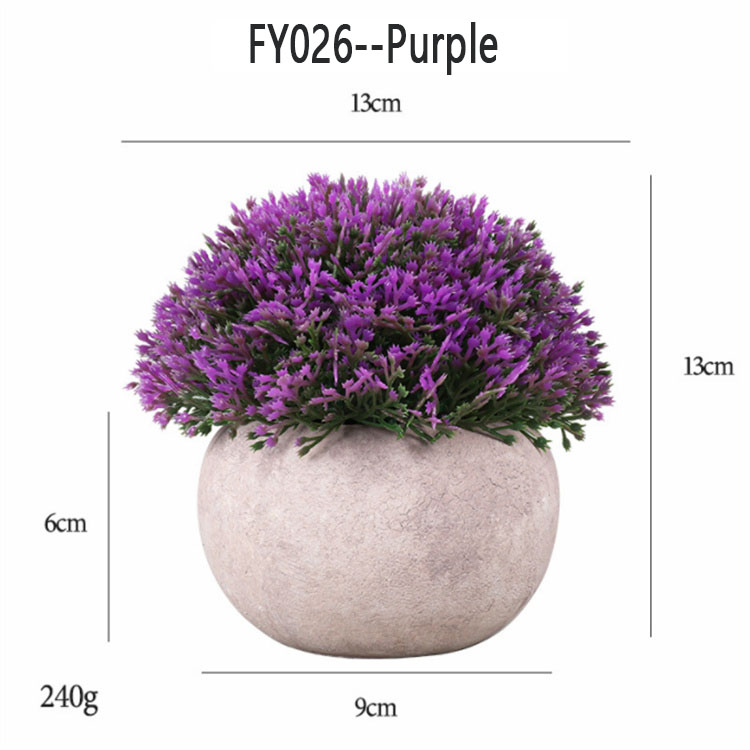 FY026 -- Pourpre