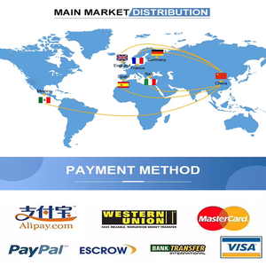 Không khí vận chuyển DHL công ty vận chuyển đại lý từ Trung Quốc đến anh Đức DDP spedition spediteur frachtatent - Product Image 5