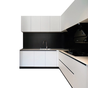 Lacca laminata finitura professionale 100% Made in Vietnam su misura moderna armadio da cucina accessori pensile cucina
