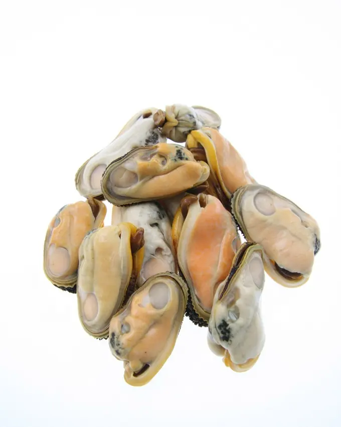 उच्च गुणवत्ता जमे हुए mussels मांस बिना खोल