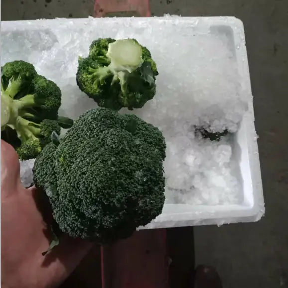 Qualità Fresco Cavolfiore/Broccoli Verdure Fresche All'ingrosso
