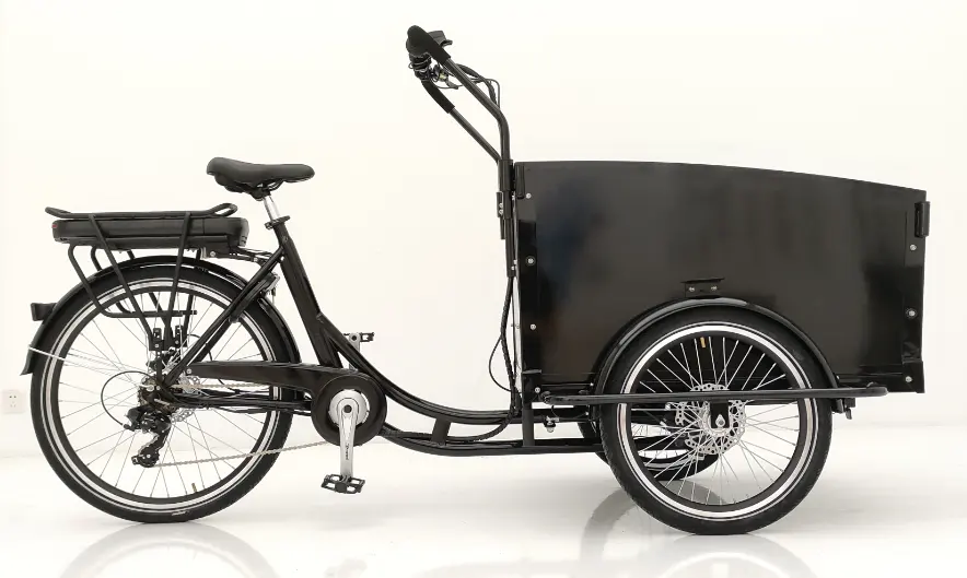 Polish Pabrik Sepeda Kargo Listrik Hub Belakang Motor Hidrolik Rem 3 Roda Roda Roda Tiga Membawa Anak-anak dan Barang
