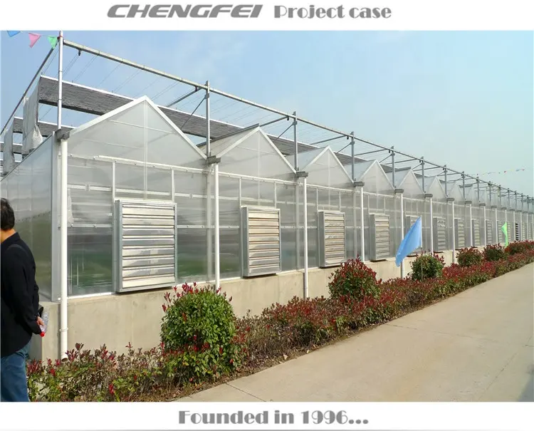 Chengfei vegetal agrícola multi espião comercial oem/mm usado de policarbonato greenhouse para venda