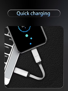 5A PD100W 2in1usb C ไปยัง USB C & Minco สายดาต้าโมเดลกำหนดความยาวได้เองพวงกุญแจเชือกกันสูญหายสายชาร์จโทรศัพท์พวงกุญแจ - Product Image 4