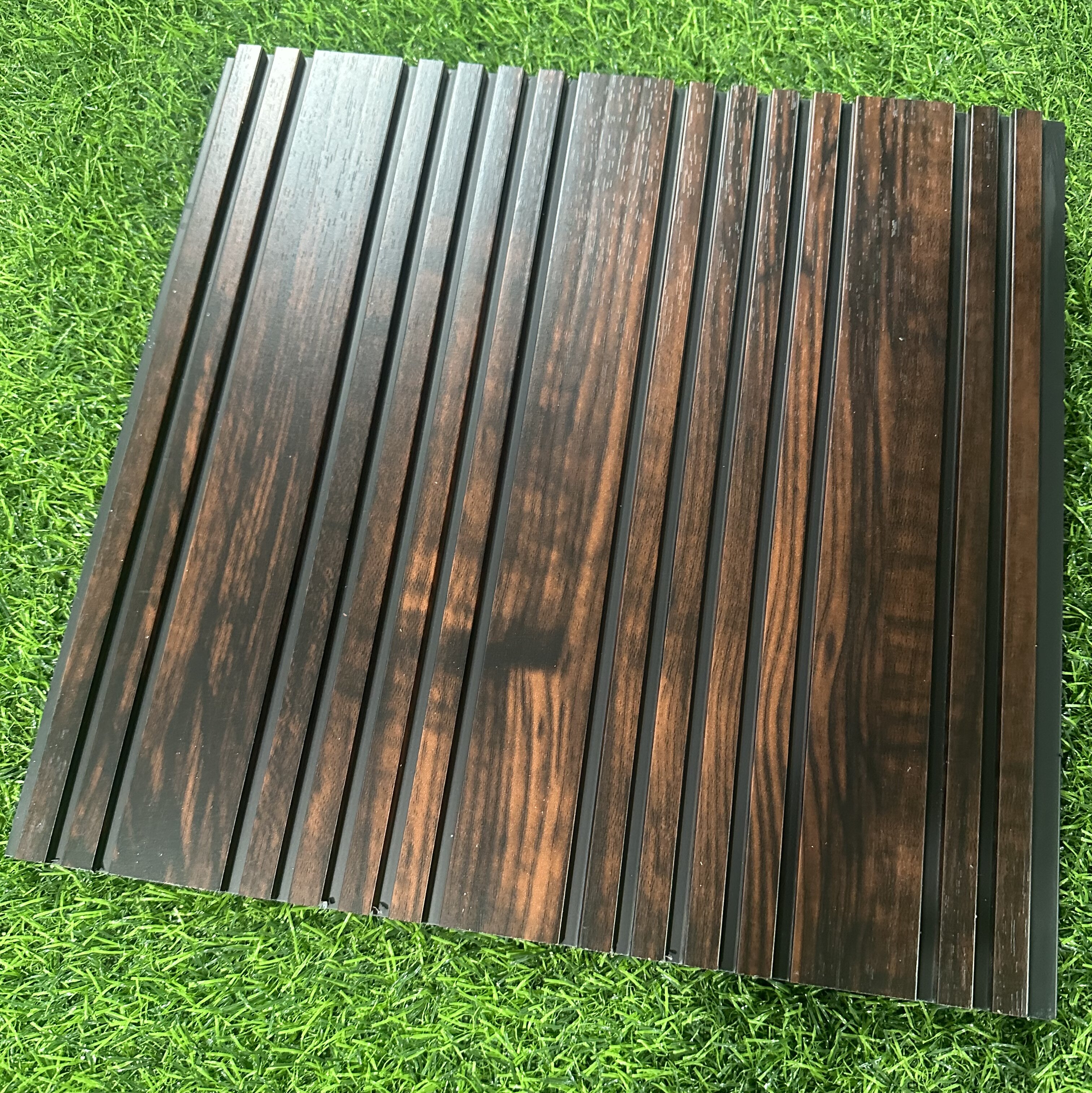 WS30010C