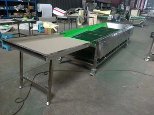 Hole Belt Blueberry <strong>Classifier</strong> Berry Grading Machines Blueberry Sorting Machine - Product Image 3