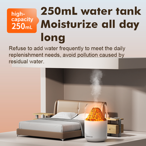 Salt tuz nemlendirici inkübatör nemlendirici bitki nemlendirici - Product Image 5