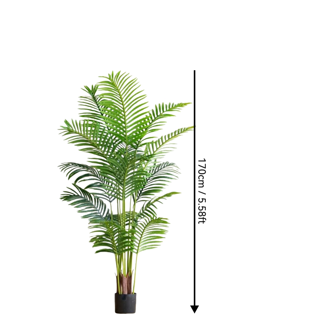Vert 5,58 pieds/170 cm