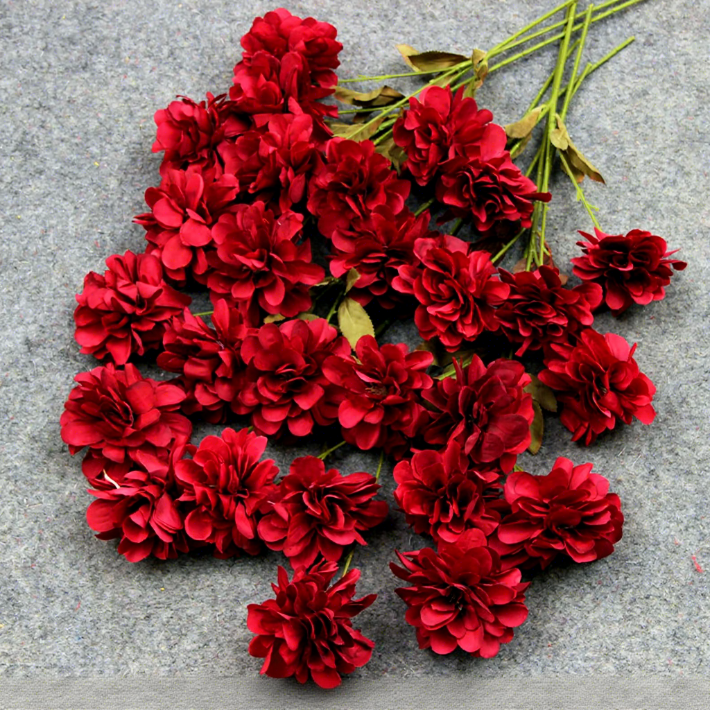 Floristería Roja Cineraria / pc