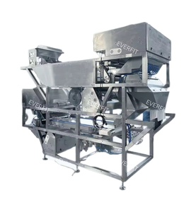 Date <strong>Sorting</strong> <strong>Machine</strong> AI <strong>Sorting</strong> <strong>Machines</strong> Stainless Steel <strong>Automated</strong> Date <strong>Sorting</strong> <strong>Machine</strong> 304 Stainless Steel - Product Image 1