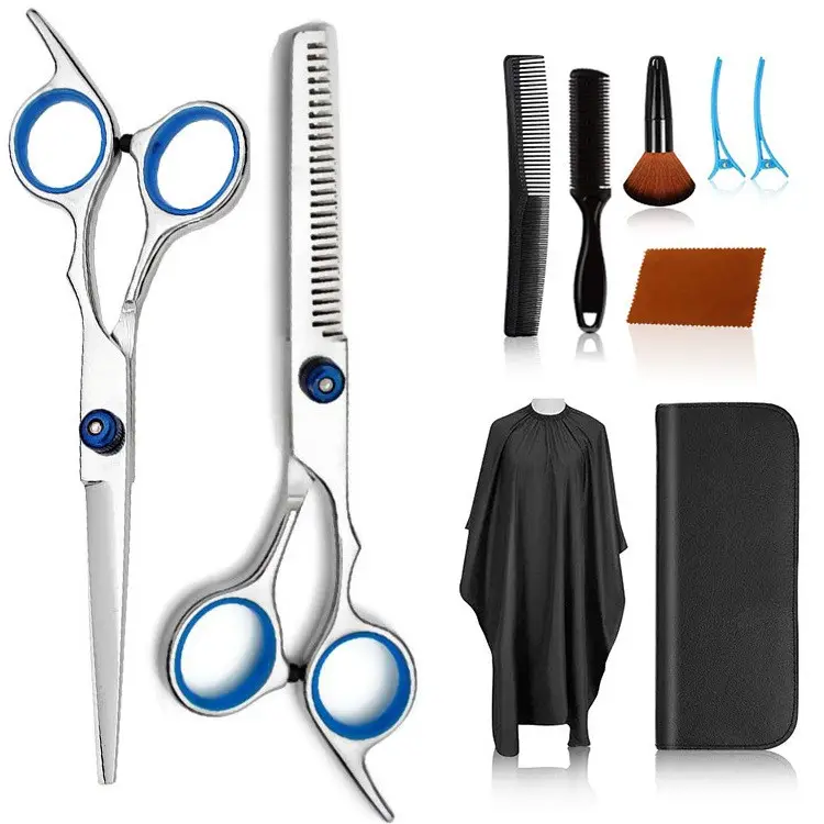 Kit de ciseaux pour Salon de coiffure en acier inoxydable, set de Salon de coiffure, à bas prix, 10 pièces
