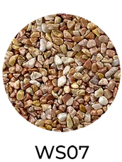 WS07