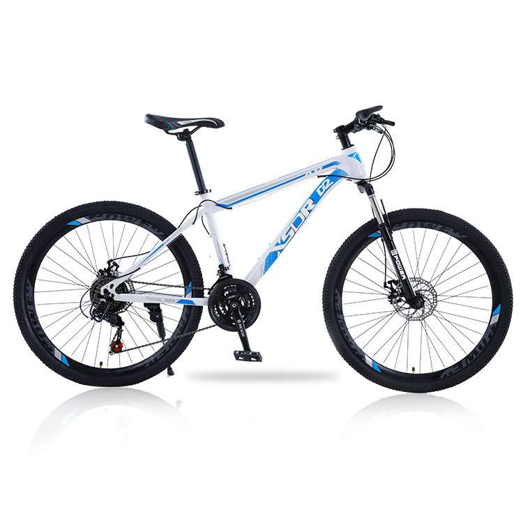 White and blue spoke wheel