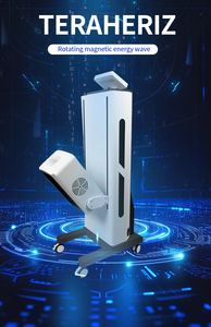 Pabrik Mesin perawatan giromagnetik pereda nyeri tubuh peralatan rehabilitasi magnetik teknologi teraheriginal - Product Image 2