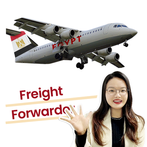 Global Express Shipping from China LCL+Express Freight Forwarding Rates to <strong>Egypt</strong> - Product Image 5