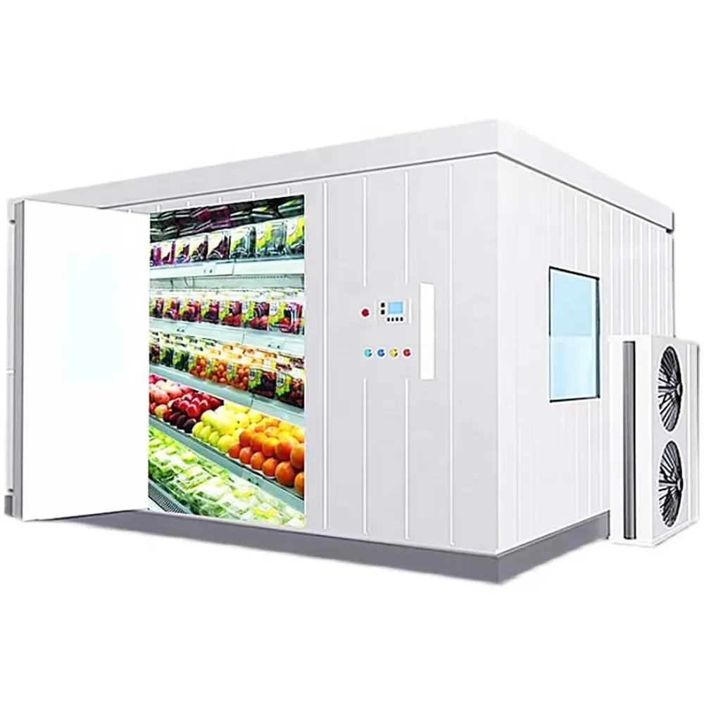 Đi bộ-trong phòng lạnh lưu trữ tùy chỉnh copeland Máy làm lạnh 100 mét Bảng điều chỉnh độ dày cho thịt khô cửa hàng thực phẩm trang trại khách sạn ngành công nghiệp