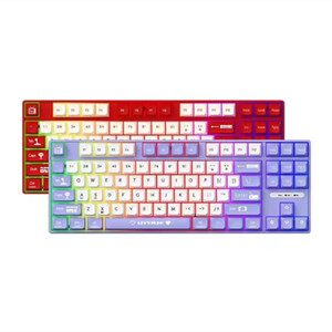 AK870MC USB cablato RGB tastiera meccanica interruttore satellitare 87 chiave di illuminazione mista a colori per PC/Mac - Product Image 1