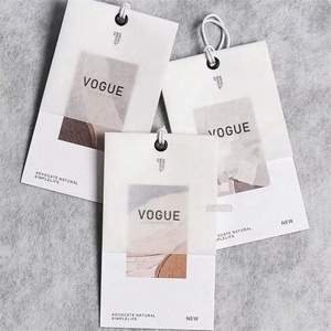 Etiqueta de moda de seguridad de plástico con logotipo personalizado de China, etiqueta colgante, Bloqueo de cadena, bucle elástico, etiquetas de sello de ropa para etiqueta colgante