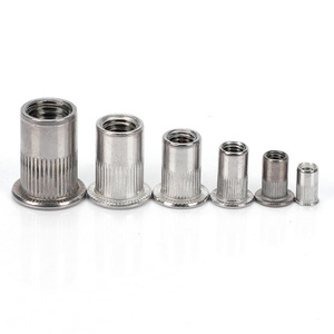 Flat Head <strong>Rivet</strong> <strong>Nuts</strong> (1/4&quot;-20UNC) Threaded Insert <strong>Nuts</strong> Custom Stainless Steel 304 Knurled Blind Antirust <strong>Rivet</strong> <strong>Nut</strong> - Product Image 2