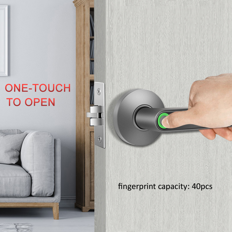 Competitive Price S604 BLE Smart Wifi Tuya APP Lock Intelligent Biometric Fingerprint Door Lock Password Home Door Lock