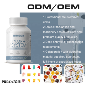 OEM Dandelion ekstrak akar Burdock suplemen detoksifikasi limfatik kapsul pembersih kesehatan 60 Kapsul Vegetarian - Product Image 4