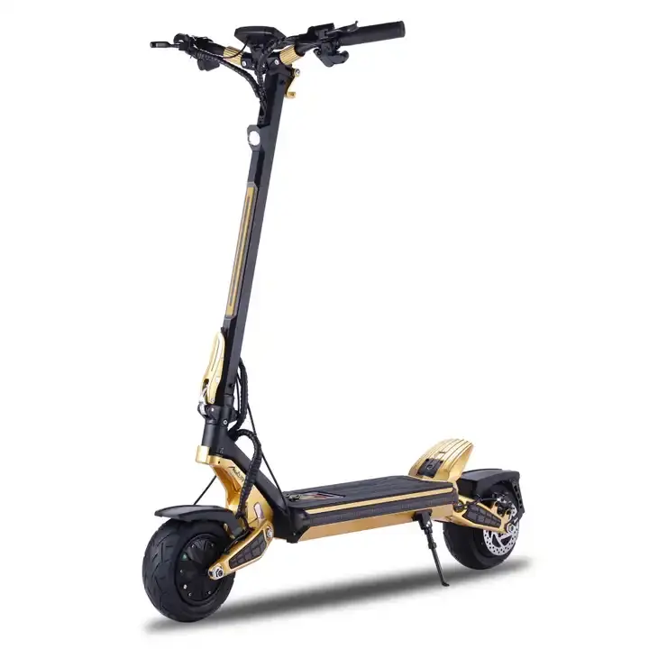2024 Popular Big Wheels Electric Bike Scooter 48V 15.6Ah 1600W France Electric Scooter 9 Inch Eu Warehouse Electric Scooter