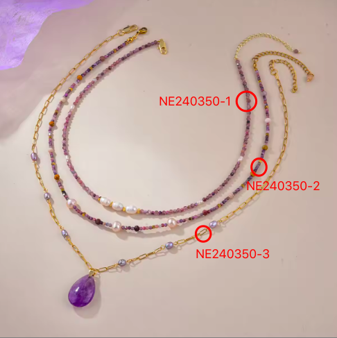 NE240350-2