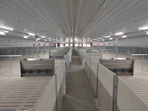 3 * 4m美欧型猪育肥笼带喂料线和饮水线定制尺寸铁或钢管可供选择 - Product Image 4