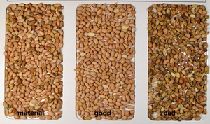 Peanut Sorter Color Sorter <strong>Machine</strong> <strong>for</strong> Peanut Groundnut <strong>Kernel</strong> Size <strong>Sorting</strong> Color <strong>Sorting</strong> Raw or Baked Peanut <strong>Sorting</strong> <strong>Machine</strong> - Product Image 4