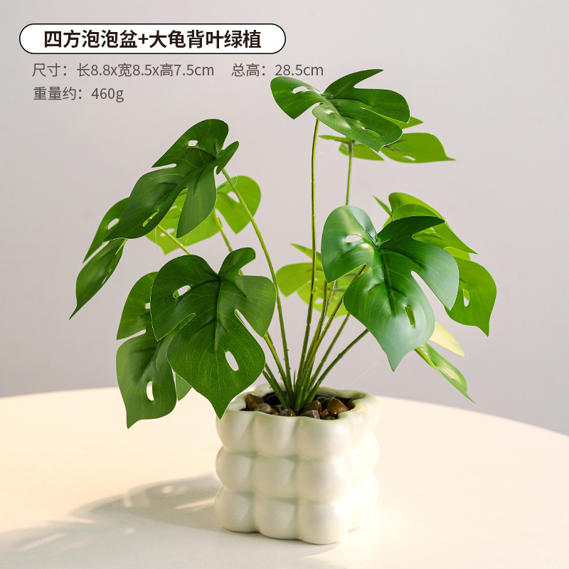 Quartet bubble flower pot large turtle leaf green plant