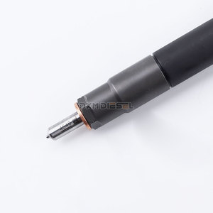 DXM Diesel Common Rail R03301D para Delphi JMC 2.8L EJB R03301D EJBR0 3301D inyección de combustible EJBR00301D - Product Image 5