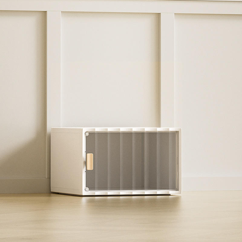 Petite armoire de rangement transparente