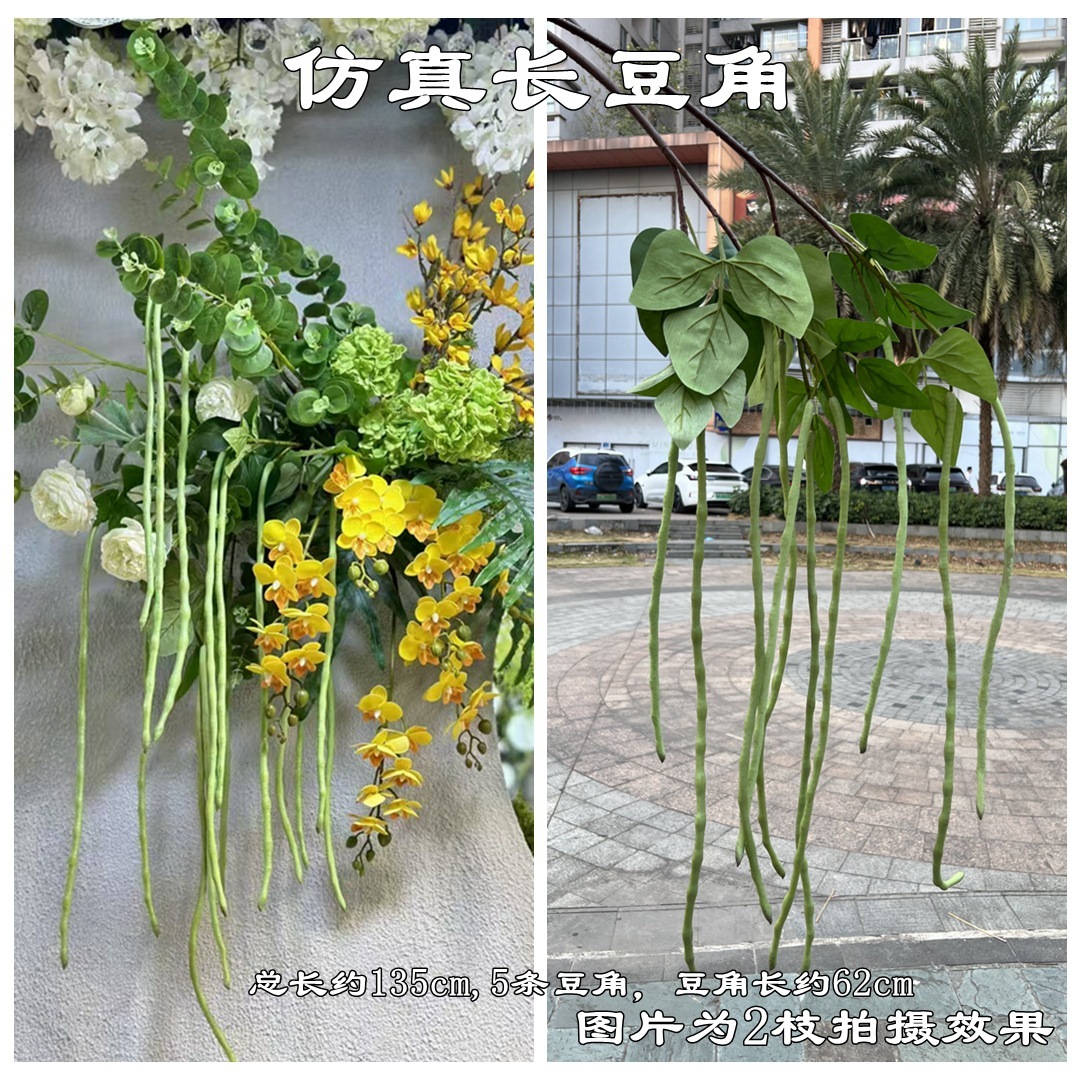 Simulation of long beans green