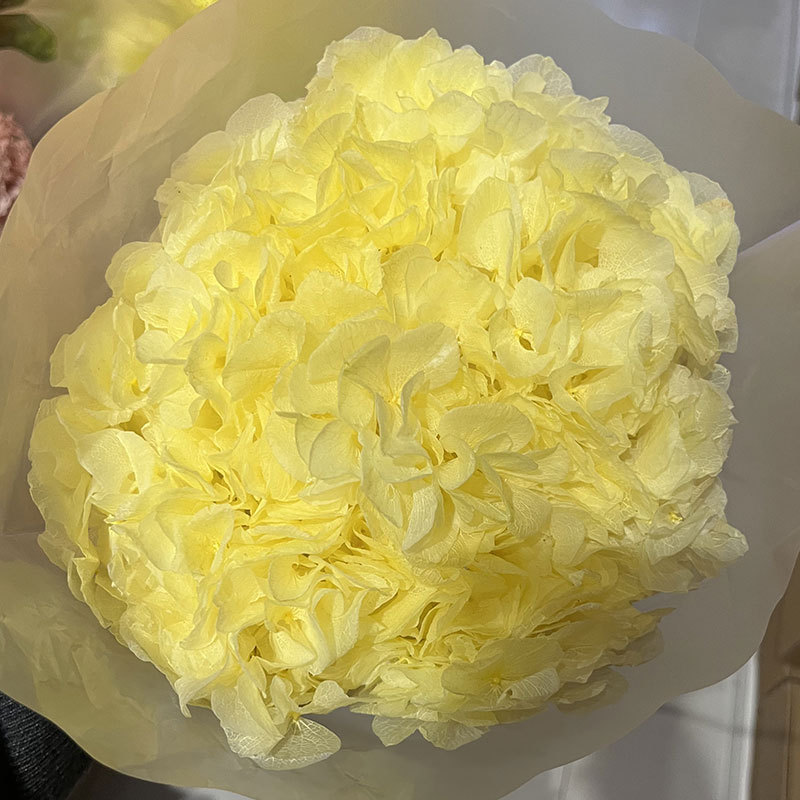 Jaune