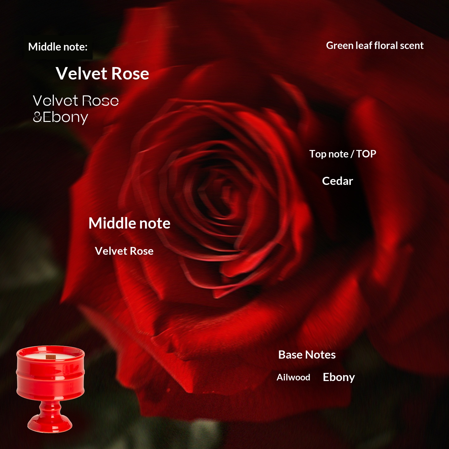 Red Cup - Ebony Velvet Rose